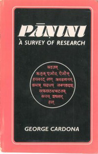 Panini A Survey Of Research