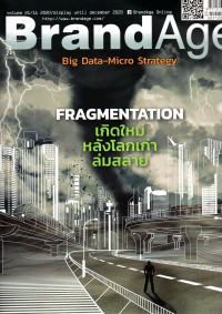 BrandAge : Big Data-Micro Strategy