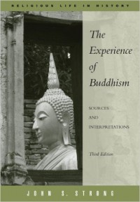 The experience of Buddhism : sources and interpretations