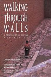 Walking through walls : a presentation of Tibetan meditation