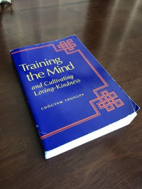 Training the mind & cultivating loving-kindness