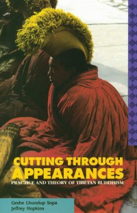 Cutting through appearances : the practice and theory of Tibetan Buddhism