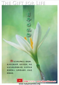 生命的礼物 (The gift of life)