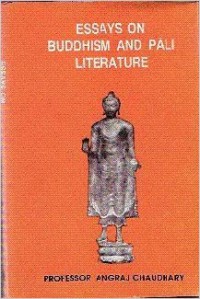 Essays on Buddhism and Pali literature