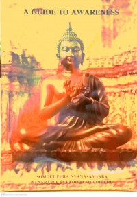 A guide to awareness : Dhamma talks on The foundations of mindfulness (Satipaṭṭhānna Sutta)