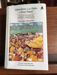 Liberation in the palm of your hand : a concise discourse on the stage of the path to enlightment