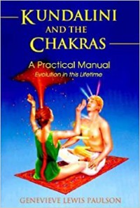 Kundalini and the chakras : evolution in this lifetime--a practical guide