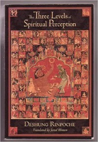 The three levels of spiritual perception : an oral commentary on The three visions (Nang sum) of Ngorchen Könchog Lhündrup